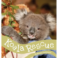 Koala Rescue - Hardcover