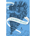 A Winter's Promise: Book One of the Mirror Visitor Quartet - Paperback