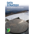 Data Strategy: From Definition to Execution - Paperback