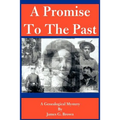 A Promise to the Past: A Genealogical Mystery - Paperback