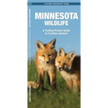 Minnesota Wildlife: A Folding Pocket Guide to Familiar Animals - Hardcover
