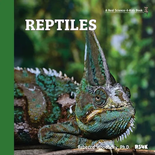 Reptiles - Paperback