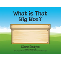 What is That Big Box? - Paperback