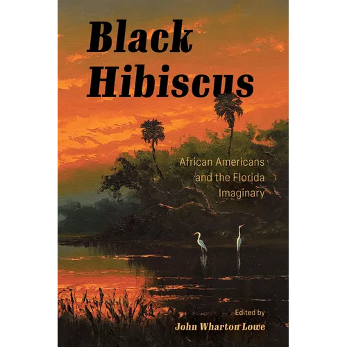 Black Hibiscus: African Americans and the Florida Imaginary - Paperback