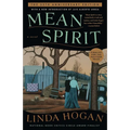Mean Spirit - Paperback