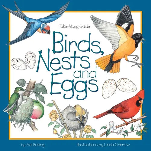 Birds, Nests & Eggs - Paperback