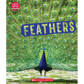 Feathers (Learn About: Animal Coverings) - Paperback