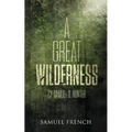 A Great Wilderness - Paperback