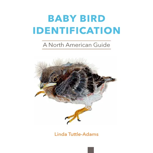 Baby Bird Identification: A North American Guide - Paperback