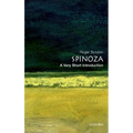 Spinoza - Paperback
