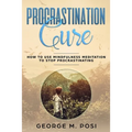 Procrastination Cure: How to Use Mindfulness Meditation to Stop Procrastinating - Paperback