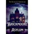 Brickmoore Asylum - Paperback