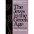 The Jews in the Greek Age - Paperback