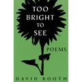 Too Bright to See - Paperback