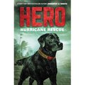 Hero: Hurricane Rescue - Paperback