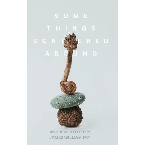 Some Things Scattered Around - Hardcover