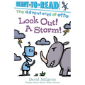 Look Out! a Storm!: Ready-To-Read Pre-Level 1 - Paperback
