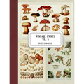 Vintage Prints: Vol. 5 - Paperback