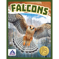 Falcons - Paperback