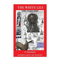 St Mildred: Patron Saint of Thanet - Paperback