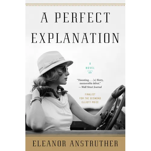A Perfect Explanation - Paperback