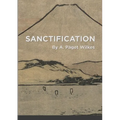 Sanctification - Paperback