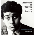 Incidents of Travel in Poetry: New and Selected Poems - Paperback