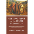 Meeting Jesus on the Road to Emmaus - Paperback
