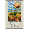 DeSavyok Elfhame Tarot Special Edition Guidebook - Paperback