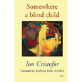 Somewhere a blind child - Paperback