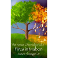 Fires In Mabon - Hardcover