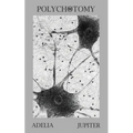 Polychotomy - Paperback
