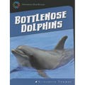 Bottlenose Dolphins - Paperback