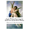 Angelic Wisdom Concerning the Divine Love and the Divine Wisdom - Paperback