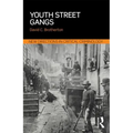 Youth Street Gangs: A Critical Appraisal - Paperback