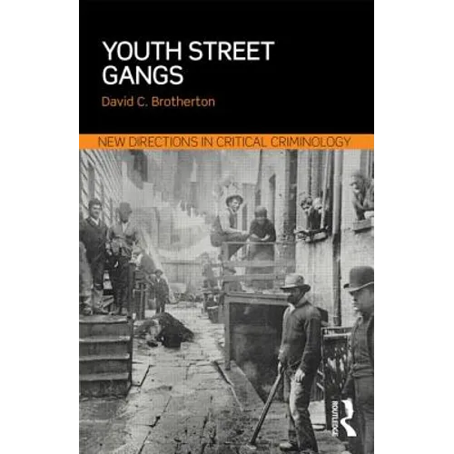 Youth Street Gangs: A Critical Appraisal - Paperback