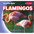 Flamingos - Library Binding