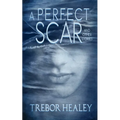 A Perfect Scar and Other Stories - Paperback