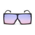 Sunglasses: Style 1735