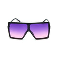 Sunglasses: Style 1463A