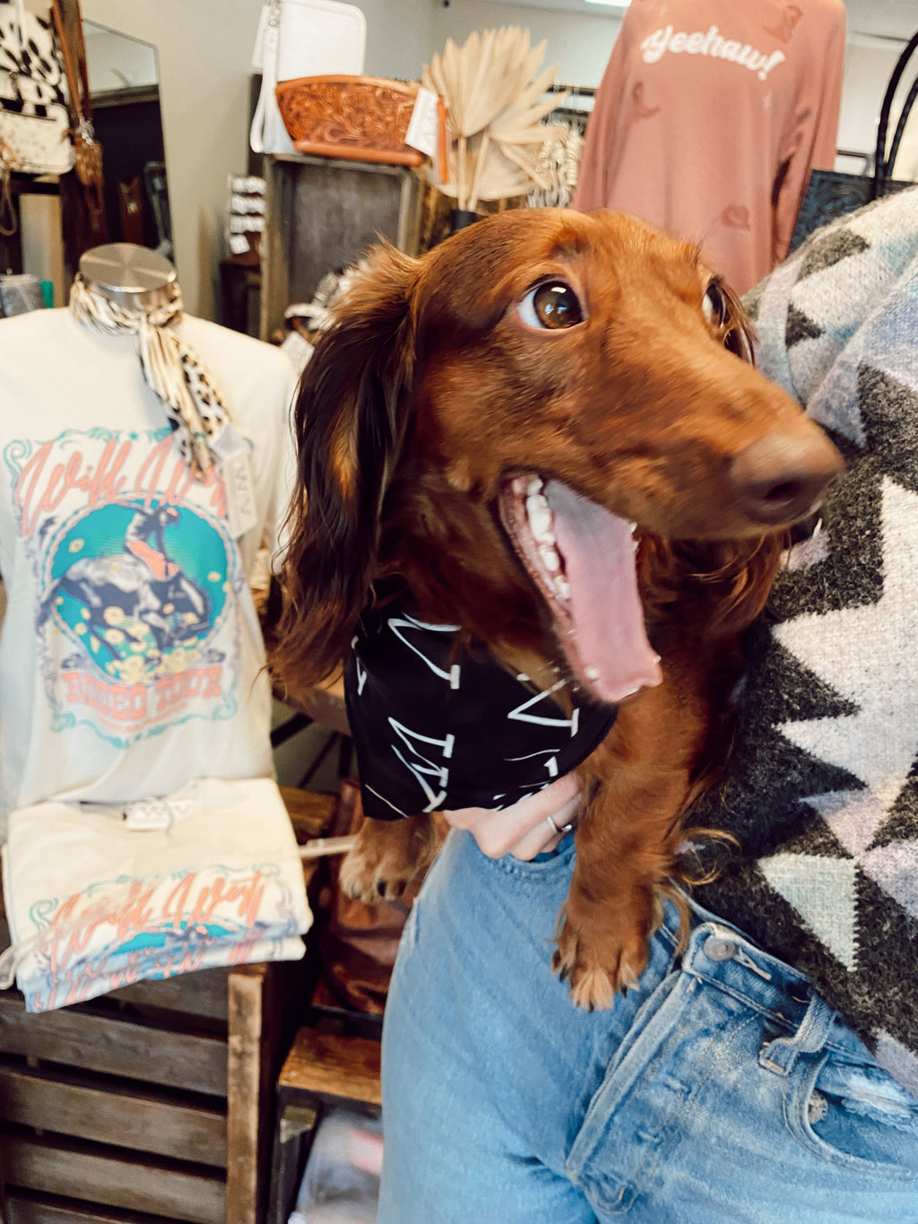 The Western Vogue Mini Wild Rag