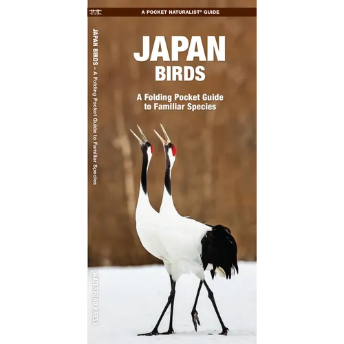 Japan Birds: A Folding Pocket Guide to Familiar Species - Paperback