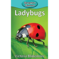 Ladybugs - Hardcover