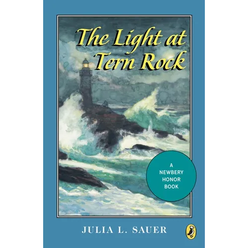 The Light at Tern Rock - Paperback