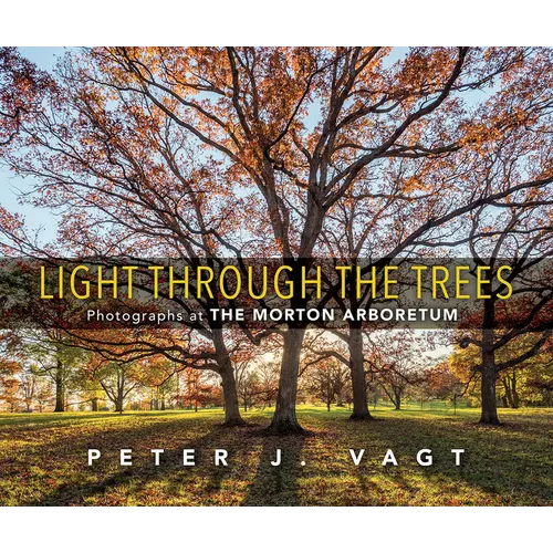 Light Through the Trees: Photographs at the Morton Arboretum - Hardcover