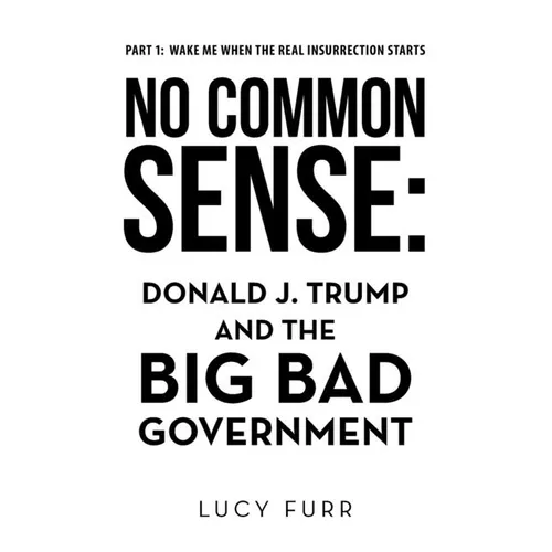No Common Sense: Donald J. Trump and the Big Bad Government - Paperback