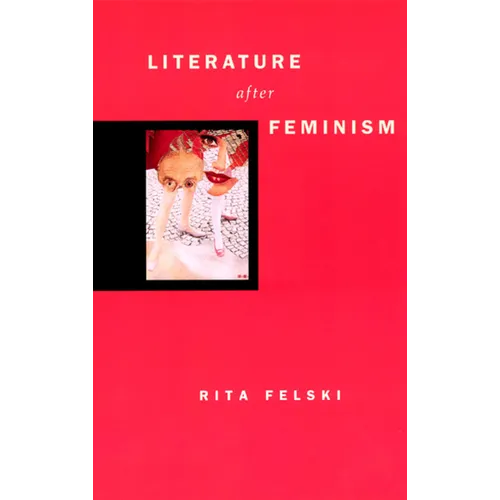 Literature After Feminism - Paperback