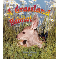 A Grassland Habitat - Paperback