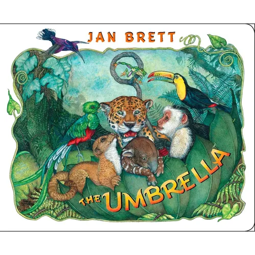 The Umbrella - Board Book