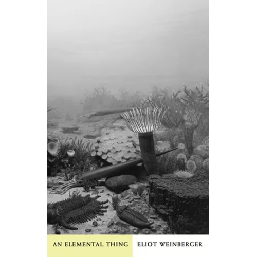 An Elemental Thing - Paperback